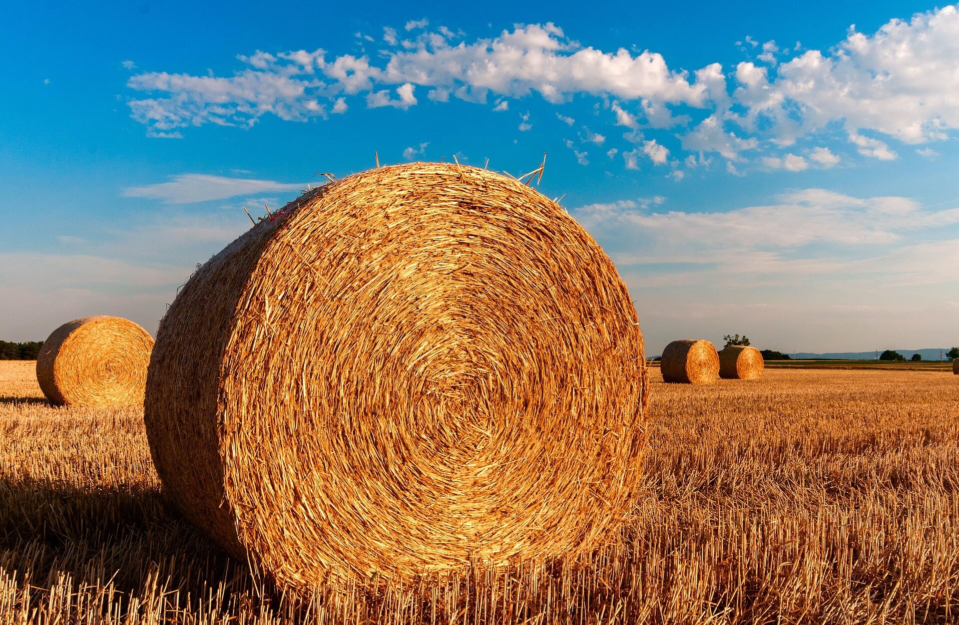 Farm Insurance